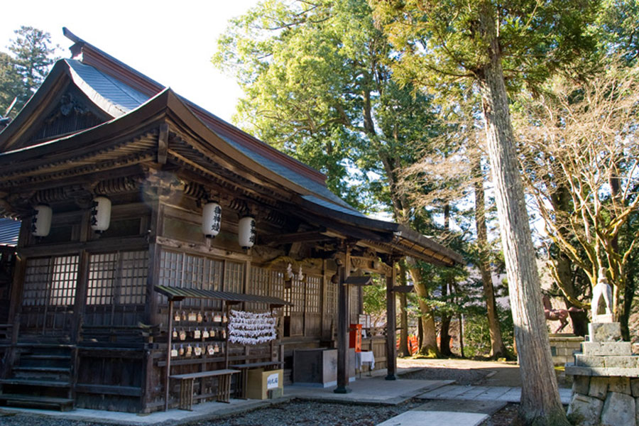 養父神社 神前式